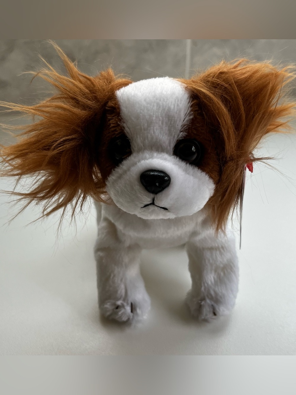 TY Beanie Baby "REGAL" (NWT)